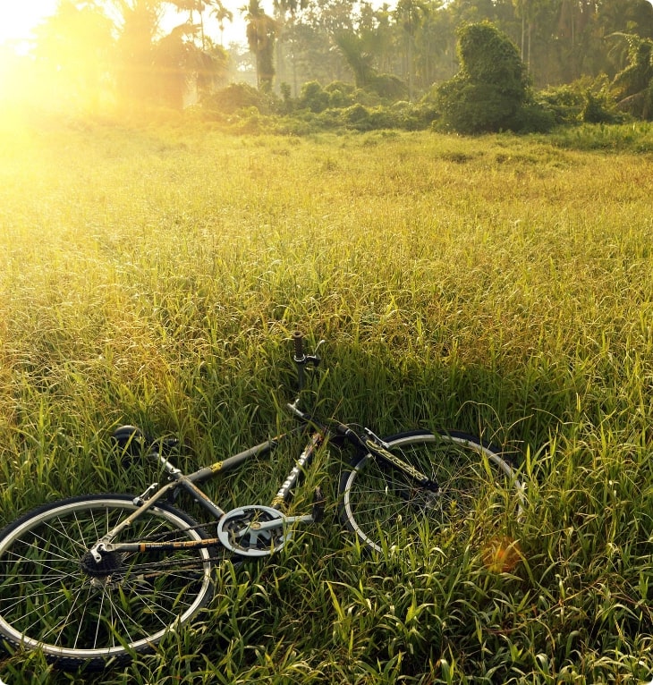 Mountainbike in gras